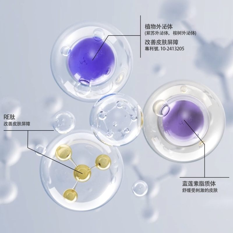 < 預購 > 韓國Dermafirm R4舒緩修護旅行套組(4件組)