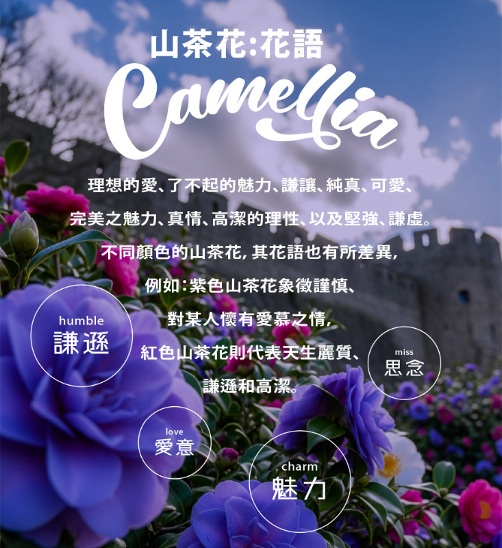 純愛自由固體香水(山茶花)